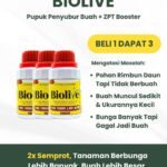 Biolive Penyubur Buah – DGV